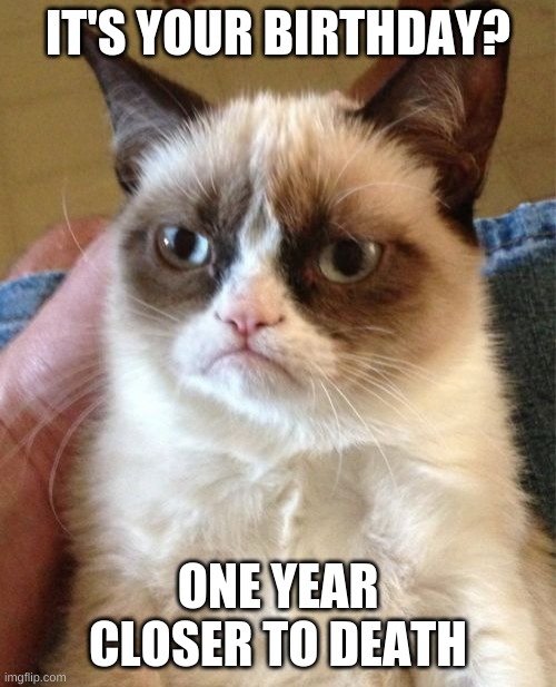 Grumpy Cat | IT'S YOUR BIRTHDAY? ONE YEAR CLOSER TO DEATH | image tagged in memes,grumpy cat,please help me | made w/ Imgflip meme maker