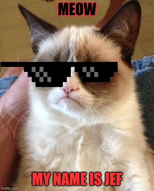 Grumpy Cat Meme | MEOW; MY NAME IS JEF | image tagged in memes,grumpy cat | made w/ Imgflip meme maker