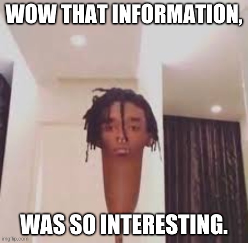 SO INTERESTING WOW! | WOW THAT INFORMATION, WAS SO INTERESTING. | image tagged in i dont care | made w/ Imgflip meme maker