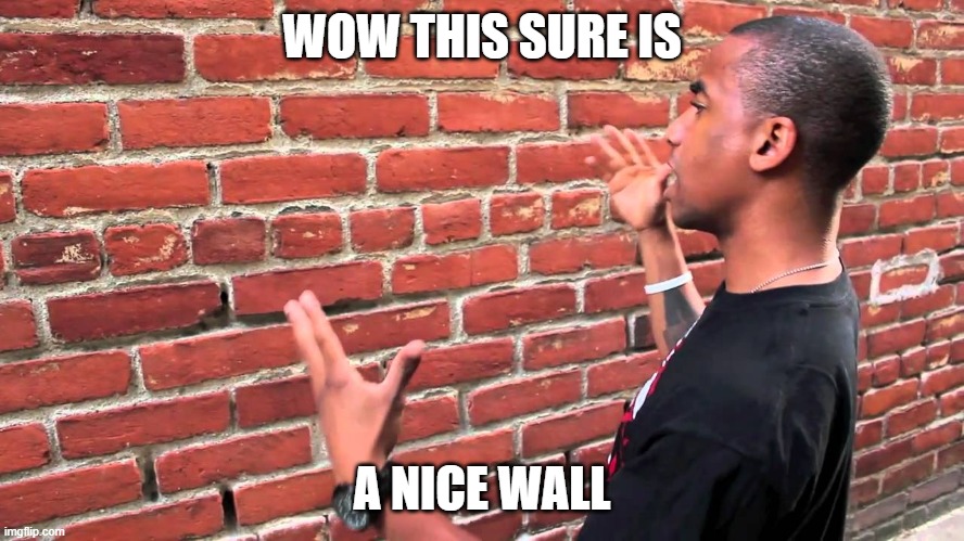 Talking to wall | WOW THIS SURE IS A NICE WALL | image tagged in talking to wall | made w/ Imgflip meme maker