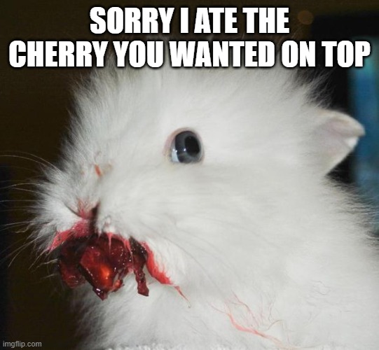 Rabbit Cherry | SORRY I ATE THE CHERRY YOU WANTED ON TOP | image tagged in rabbit cherry | made w/ Imgflip meme maker