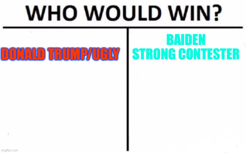 Who would win in the election? | BAIDEN STRONG CONTESTER; DONALD TRUMP/UGLY | image tagged in memes,who would win,baiden,trump | made w/ Imgflip meme maker