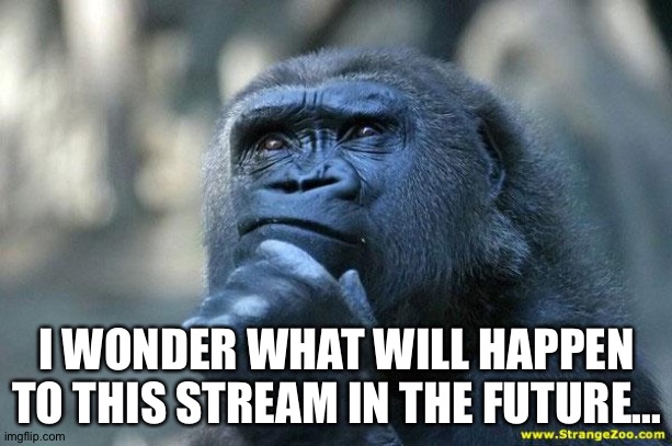 Will it still be in chaos? Or will it be normal again? Nobody knows. | I WONDER WHAT WILL HAPPEN TO THIS STREAM IN THE FUTURE... | image tagged in deep thoughts | made w/ Imgflip meme maker