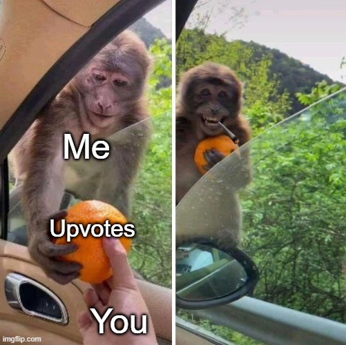 monkey getting an orange | Me; Upvotes; You | image tagged in monkey getting an orange | made w/ Imgflip meme maker