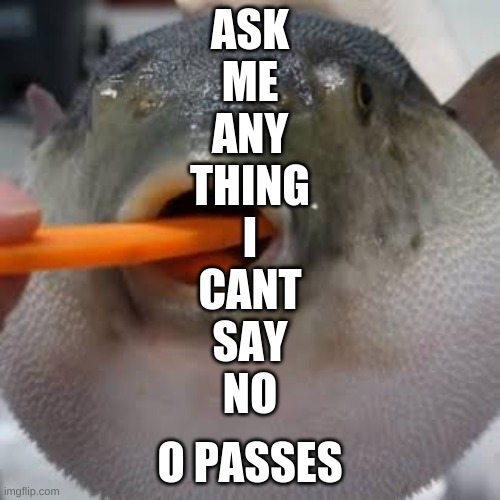 *chuckles* im in danger | ASK
ME
ANY
THING
I
CANT
SAY
NO; O PASSES | image tagged in ugh | made w/ Imgflip meme maker