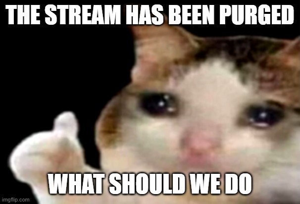 Sad cat thumbs up | THE STREAM HAS BEEN PURGED; WHAT SHOULD WE DO | image tagged in sad cat thumbs up | made w/ Imgflip meme maker