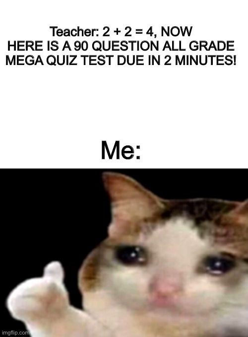 Sad cat thumbs up white spacing | Teacher: 2 + 2 = 4, NOW HERE IS A 90 QUESTION ALL GRADE MEGA QUIZ TEST DUE IN 2 MINUTES! Me: | image tagged in sad cat thumbs up,school,dumb,memes | made w/ Imgflip meme maker
