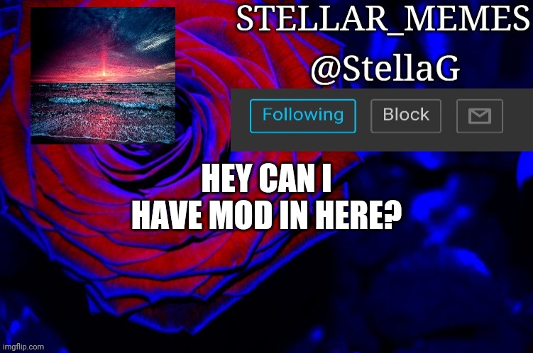 HEY CAN I HAVE MOD IN HERE? | made w/ Imgflip meme maker