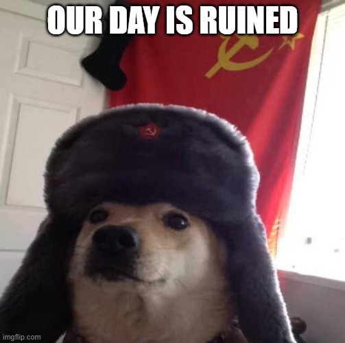 Russian Doge | OUR DAY IS RUINED | image tagged in russian doge | made w/ Imgflip meme maker