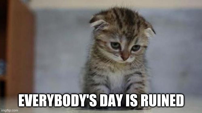 Sad kitten | EVERYBODY'S DAY IS RUINED | image tagged in sad kitten | made w/ Imgflip meme maker