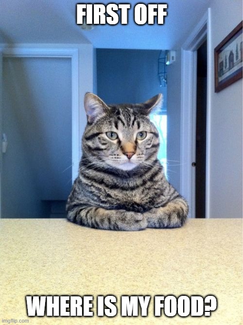 first off | FIRST OFF; WHERE IS MY FOOD? | image tagged in memes,take a seat cat | made w/ Imgflip meme maker