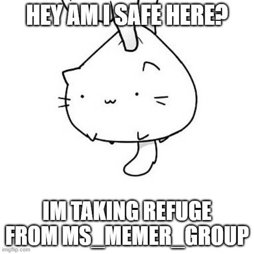 am i safe? | HEY AM I SAFE HERE? IM TAKING REFUGE FROM MS_MEMER_GROUP | image tagged in cat | made w/ Imgflip meme maker