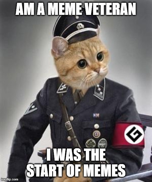 Am the start of memes | AM A MEME VETERAN; I WAS THE START OF MEMES | image tagged in grammar nazi cat | made w/ Imgflip meme maker