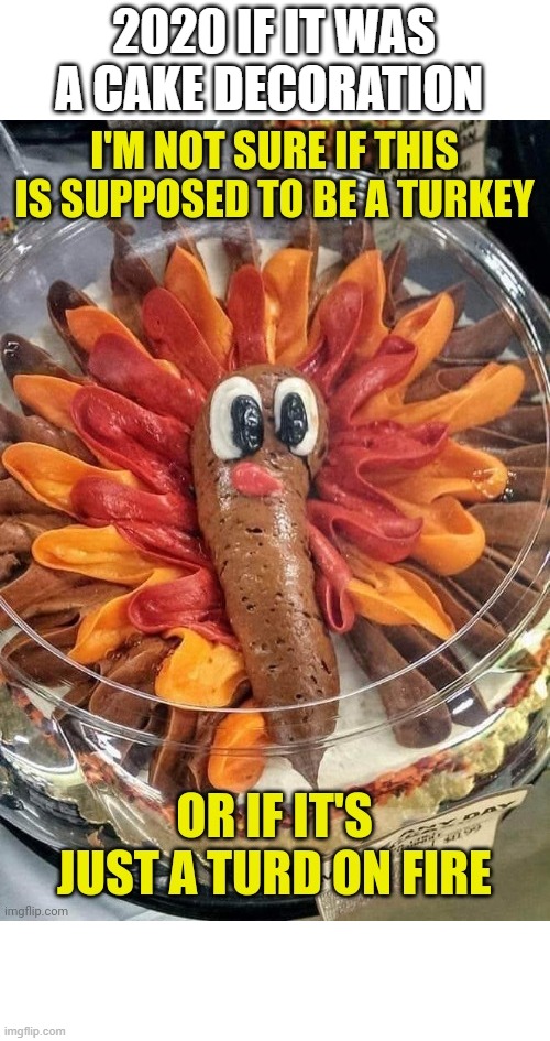 turkey or turd | 2020 IF IT WAS A CAKE DECORATION | image tagged in 2020 sucks,poop,turkey | made w/ Imgflip meme maker