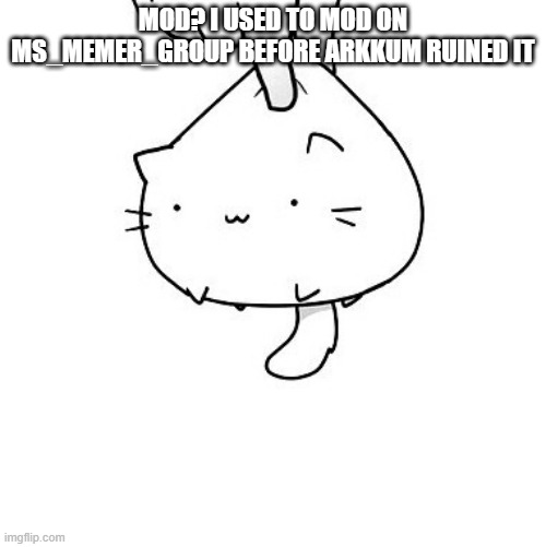 mod? or do we still want to be safe by not immediately giving ppl mod yet | MOD? I USED TO MOD ON MS_MEMER_GROUP BEFORE ARKKUM RUINED IT | image tagged in cat | made w/ Imgflip meme maker