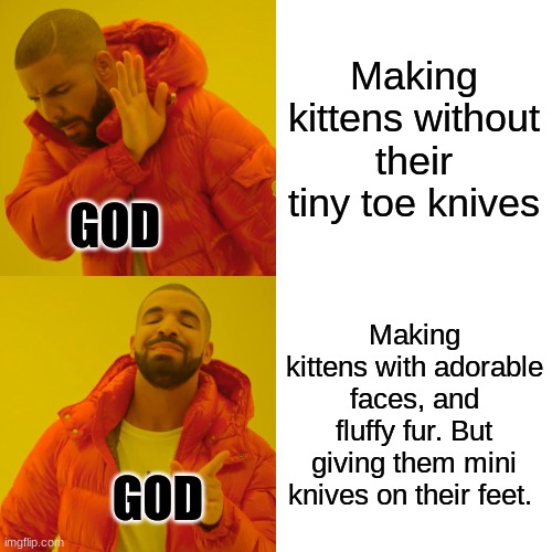 Drake Hotline Bling | Making kittens without their tiny toe knives; GOD; Making kittens with adorable faces, and fluffy fur. But giving them mini knives on their feet. GOD | image tagged in memes,drake hotline bling | made w/ Imgflip meme maker