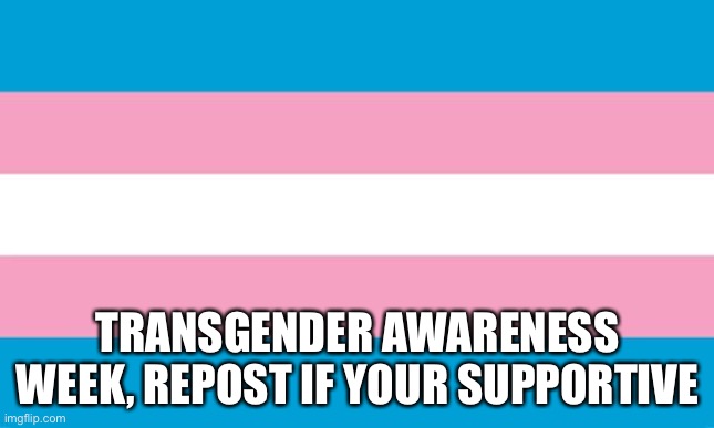 Transgender Flag | TRANSGENDER AWARENESS WEEK, REPOST IF YOUR SUPPORTIVE | image tagged in transgender flag | made w/ Imgflip meme maker