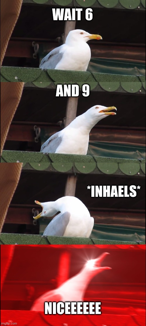 Inhaling Seagull | WAIT 6; AND 9; *INHAELS*; NICEEEEEE | image tagged in memes,inhaling seagull | made w/ Imgflip meme maker