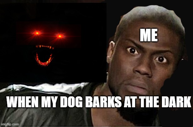 dog barking me looking | ME; WHEN MY DOG BARKS AT THE DARK | image tagged in scary,thing | made w/ Imgflip meme maker