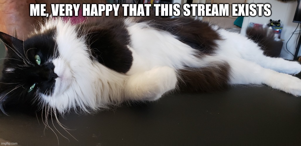 Purrose | ME, VERY HAPPY THAT THIS STREAM EXISTS | image tagged in purrose | made w/ Imgflip meme maker