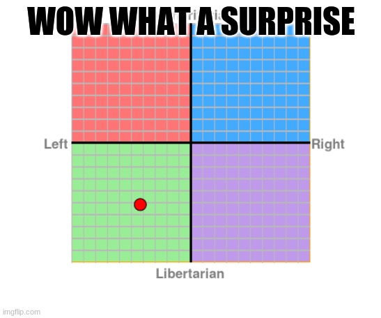 gee who would have thought | WOW WHAT A SURPRISE | image tagged in politics lol | made w/ Imgflip meme maker