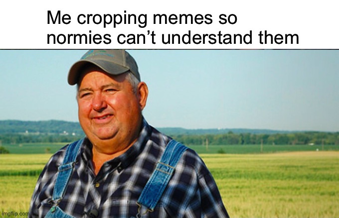 Sorry normies learn the culture | Me cropping memes so normies can’t understand them | image tagged in memes,funny | made w/ Imgflip meme maker