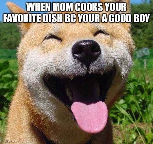 Happy fluffy dog  | WHEN MOM COOKS YOUR FAVORITE DISH BC YOUR A GOOD BOY | image tagged in happy fluffy dog | made w/ Imgflip meme maker