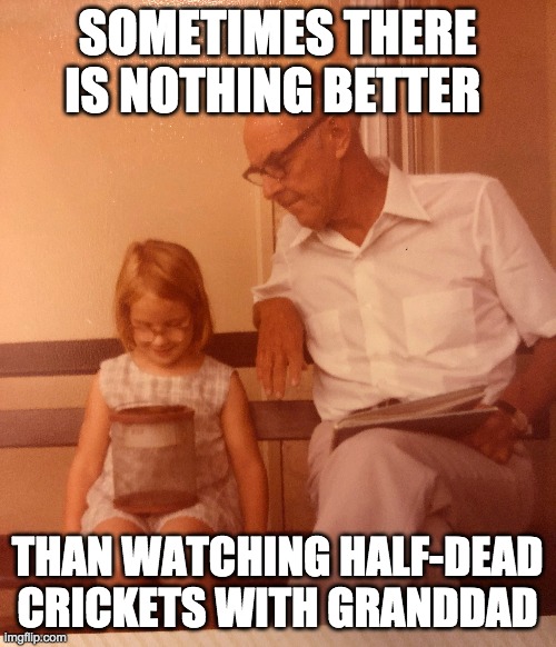 sometimes there's nothing better than watching half-dead crickets with granddad | SOMETIMES THERE IS NOTHING BETTER; THAN WATCHING HALF-DEAD CRICKETS WITH GRANDDAD | image tagged in granddad,half-dead crickets,granddaughter,grandparents,kids,crickets | made w/ Imgflip meme maker