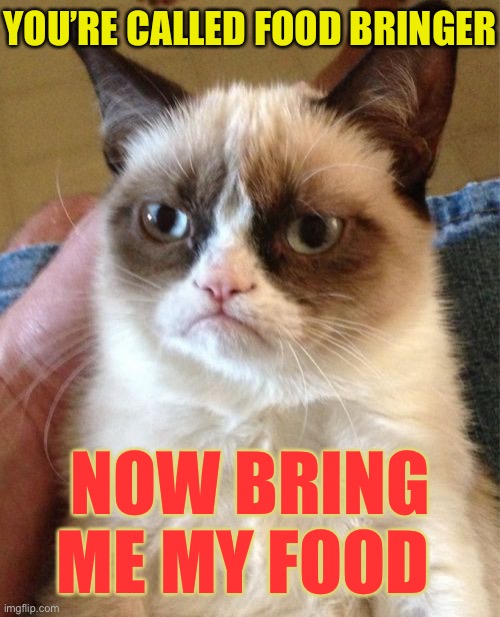 Grumpy Cat Meme | YOU’RE CALLED FOOD BRINGER NOW BRING ME MY FOOD | image tagged in memes,grumpy cat | made w/ Imgflip meme maker