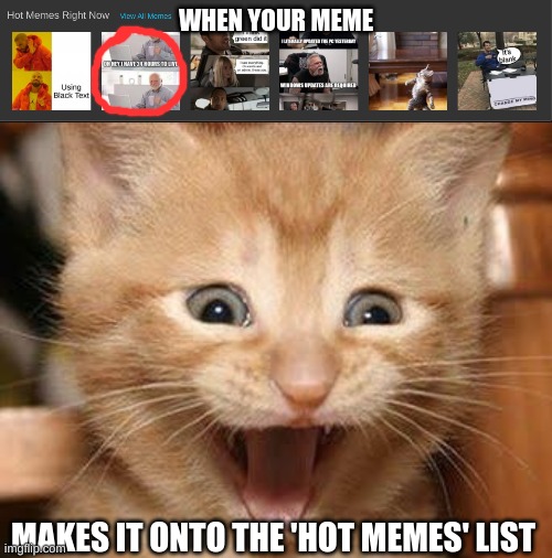 WHEN YOUR MEME; MAKES IT ONTO THE 'HOT MEMES' LIST | image tagged in memes,excited cat | made w/ Imgflip meme maker