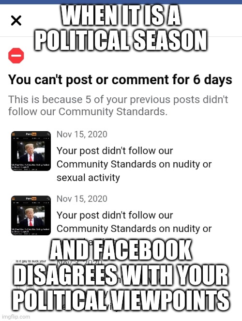 WHEN IT IS A POLITICAL SEASON; AND FACEBOOK DISAGREES WITH YOUR POLITICAL VIEWPOINTS | image tagged in facebook | made w/ Imgflip meme maker