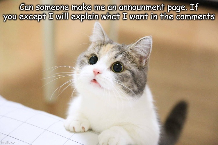 cute cat | Can someone make me an announment page. If you except I will explain what I want in the comments | image tagged in cute cat | made w/ Imgflip meme maker