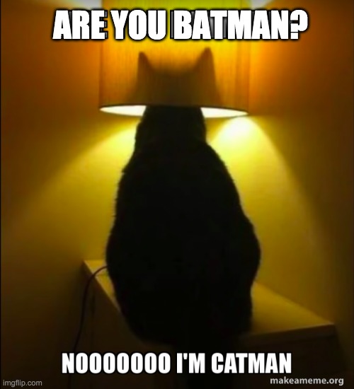 CATMAN | ARE YOU BATMAN? | image tagged in cats | made w/ Imgflip meme maker