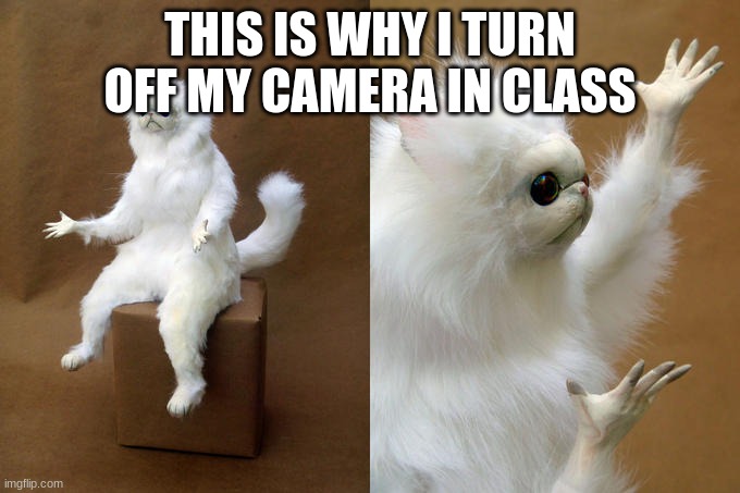 Persian Cat Room Guardian Meme | THIS IS WHY I TURN OFF MY CAMERA IN CLASS | image tagged in memes,persian cat room guardian | made w/ Imgflip meme maker