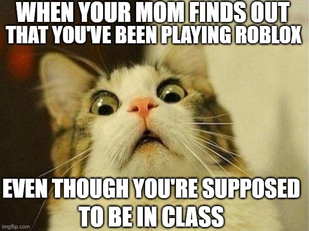 XD | WHEN YOUR MOM FINDS OUT; THAT YOU'VE BEEN PLAYING ROBLOX; EVEN THOUGH YOU'RE SUPPOSED; TO BE IN CLASS | image tagged in memes,scared cat,roblox,you got in trouble,get rekt | made w/ Imgflip meme maker