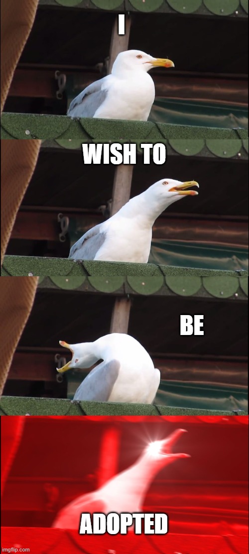 Inhaling Seagull | I; WISH TO; BE; ADOPTED | image tagged in memes,inhaling seagull | made w/ Imgflip meme maker