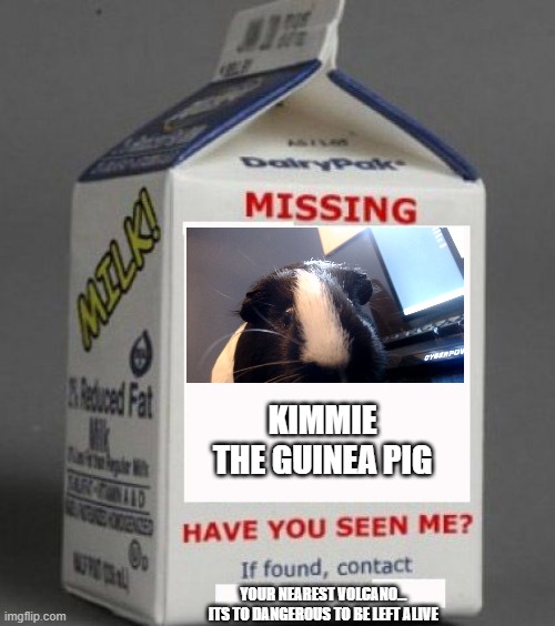 Milk carton | KIMMIE THE GUINEA PIG; YOUR NEAREST VOLCANO...   ITS TO DANGEROUS TO BE LEFT ALIVE | image tagged in milk carton | made w/ Imgflip meme maker