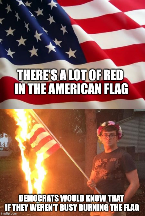 THERE'S A LOT OF RED 
IN THE AMERICAN FLAG DEMOCRATS WOULD KNOW THAT 
IF THEY WEREN'T BUSY BURNING THE FLAG | image tagged in american flag | made w/ Imgflip meme maker