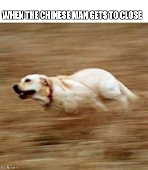 Speedy doggo | WHEN THE CHINESE MAN GETS TO CLOSE | image tagged in speedy doggo | made w/ Imgflip meme maker