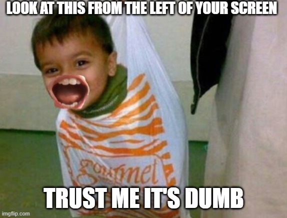 just a random meme i made | LOOK AT THIS FROM THE LEFT OF YOUR SCREEN; TRUST ME IT'S DUMB | image tagged in random,memesforlife | made w/ Imgflip meme maker