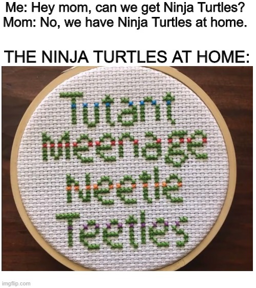 i cant stop laughing | Me: Hey mom, can we get Ninja Turtles?
Mom: No, we have Ninja Turtles at home. THE NINJA TURTLES AT HOME: | image tagged in tmnt,tutant meenage neetle teetles,lmao,mom can we have,teenage mutant ninja turtles,oh wow are you actually reading these tags | made w/ Imgflip meme maker