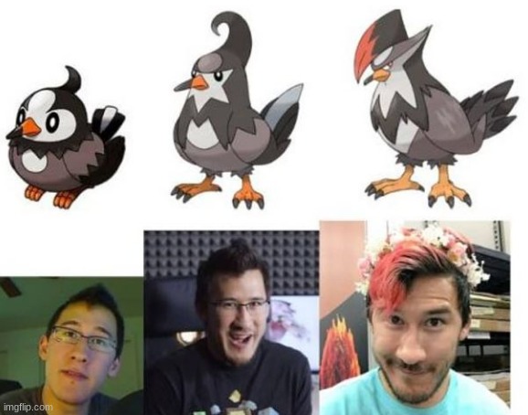 Coincidence? I think not! | image tagged in memes,starly,staraptor,markiplier,pokemon,coincidence i think not | made w/ Imgflip meme maker