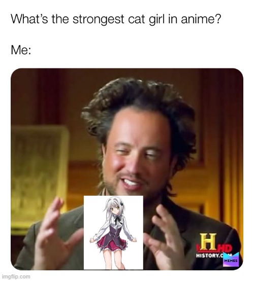 highschool dxd | image tagged in highschool dxd,anime,cat | made w/ Imgflip meme maker