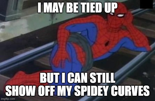 Curvy Spides | I MAY BE TIED UP; BUT I CAN STILL SHOW OFF MY SPIDEY CURVES | image tagged in memes,sexy railroad spiderman,spiderman | made w/ Imgflip meme maker