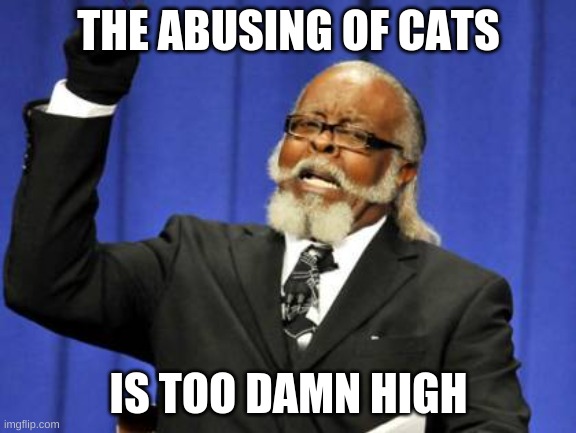 CATS BE NICE | THE ABUSING OF CATS; IS TOO DAMN HIGH | image tagged in memes,too damn high | made w/ Imgflip meme maker