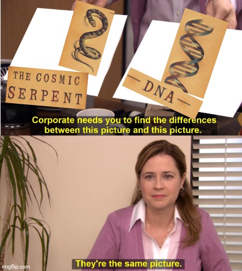 -Just check postbox. | image tagged in memes,they're the same picture,skeptical snake,dna,hey can i copy your homework,book of idiots | made w/ Imgflip meme maker