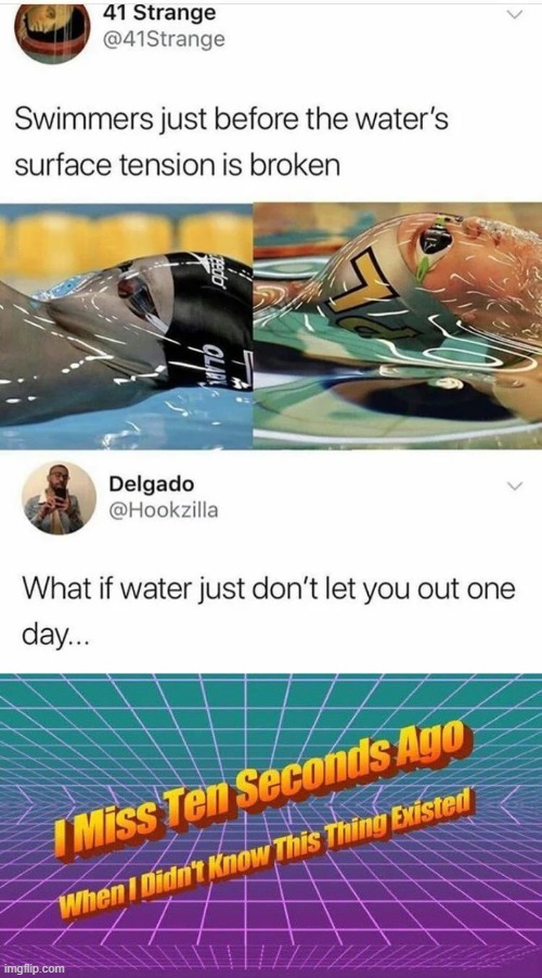 Water tension | image tagged in i miss ten seconds ago,memes,funny,water,tension | made w/ Imgflip meme maker