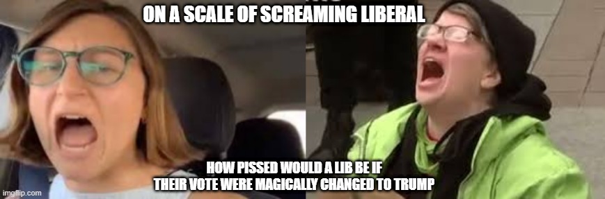 Screaming Liberal Scale | ON A SCALE OF SCREAMING LIBERAL; HOW PISSED WOULD A LIB BE IF THEIR VOTE WERE MAGICALLY CHANGED TO TRUMP | image tagged in liberals,liberal logic,stupid liberals,libtards,triggered liberal | made w/ Imgflip meme maker