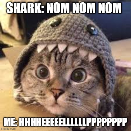 Shark cat |  SHARK: NOM NOM NOM; ME: HHHHEEEEELLLLLLPPPPPPPP | image tagged in funny cats | made w/ Imgflip meme maker