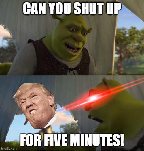 Shrek For Five Minutes | CAN YOU SHUT UP; FOR FIVE MINUTES! | image tagged in shrek for five minutes | made w/ Imgflip meme maker